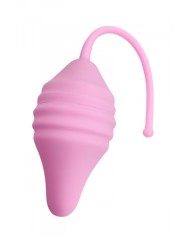 Pelvix Concept - Femintimate