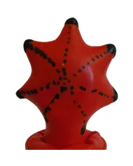 CONDOMERIE - PRÉSERVATIFS FANTAISIE PEINTS À LA MAIN ÉTOILES DE MER CONDOMERIE - PRÉSERVATIFS FANTAISIE PEINTS À LA MAIN ÉTOILES DE MER