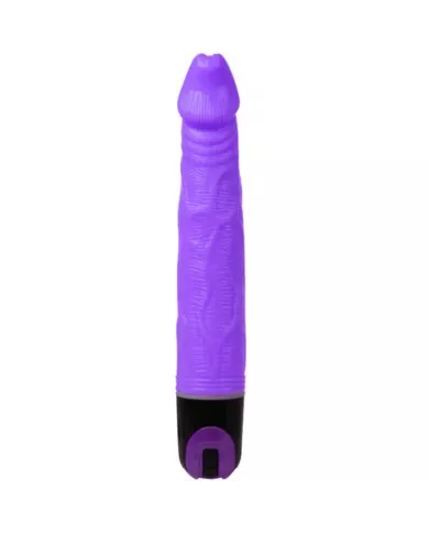 BAILE - VIBRATEUR DE MULTIVITESSES 21.5 CM VIOLET