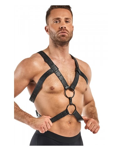 Harnais de bondage Rocco - Bedroom Fantasies