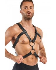 Harnais de bondage Rocco - Bedroom Fantasies