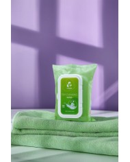 25 lingettes Lingettes nettoyantes pour sextoys - EasyGlide