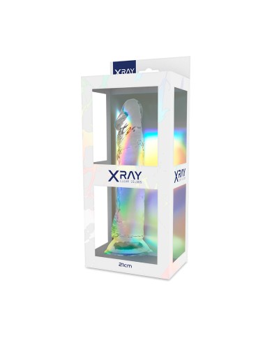 X RAY - BITE CLAIRE 21 CM -O- 4 CM