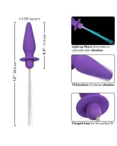 CALEXOTICS - SOUTHERN LIGHTS LIGHT UP PLUG ANAL10 VIBRATIONS SILICONE VIOLET