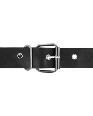 HARNESS ATTRACTION - RNES TAYLOR DELUXE 18 CM -O- 4.5 CM