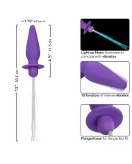 CALEXOTICS - SOUTHERN LIGHTS LIGHT UP PLUG ANAL10 VIBRATIONS SILICONE VIOLET