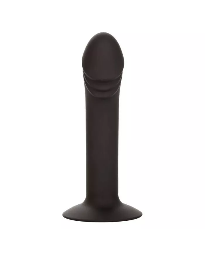 CALEXOTICS - STUD ANAL COURB?