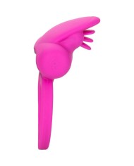 CALEXOTICS - AMÉLIORATEUR DE SCINTILLEMENT DOUBLE CLITO