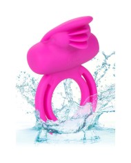 CALEXOTICS - AMÉLIORATEUR DE SCINTILLEMENT DOUBLE CLITO