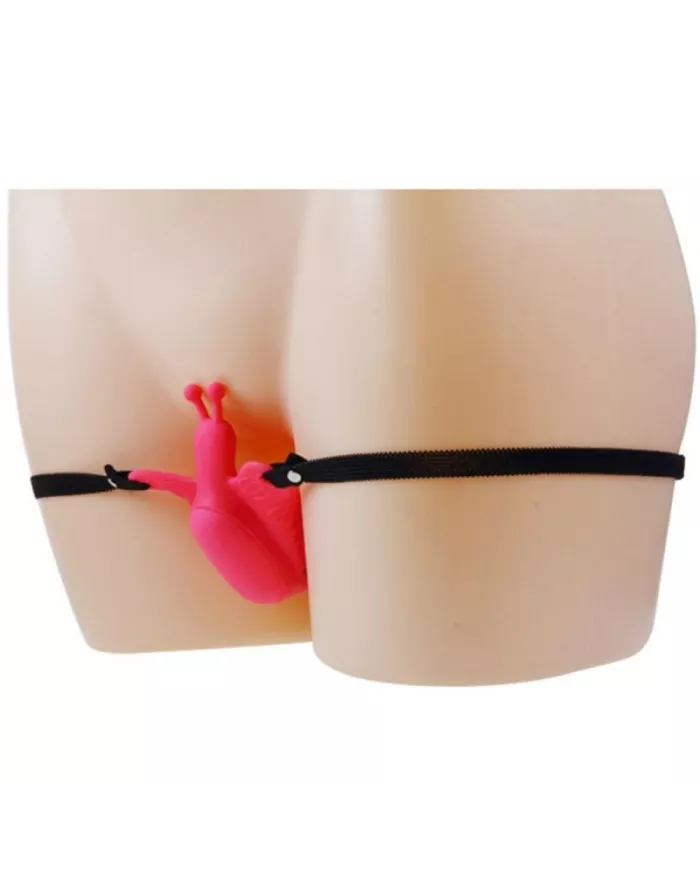 BAILE - HARNAIS PAPILLON TÉLÉCOMMANDE ULTRA PASSIONNÉ BAILE - HARNAIS PAPILLON TÉLÉCOMMANDE ULTRA PASSIONNÉ