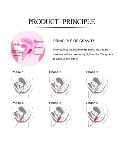 LESLIE - KEGEL FIT ENSEMBLE D'ENTRAÃŽNEMENT MUSCULAIRE PELVIEN 6 PCS LESLIE - KEGEL FIT ENSEMBLE D'ENTRAÃŽNEMENT MUSCULAIRE PELVIEN 6 PCS