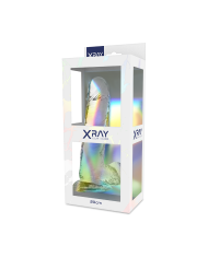 X RAY - BITE TRANSPARENTE AVEC BOULES 20 CM -O- 4.5 CM