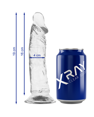 X RAY - BITE CLAIRE 19 CM -O- 4 CM
