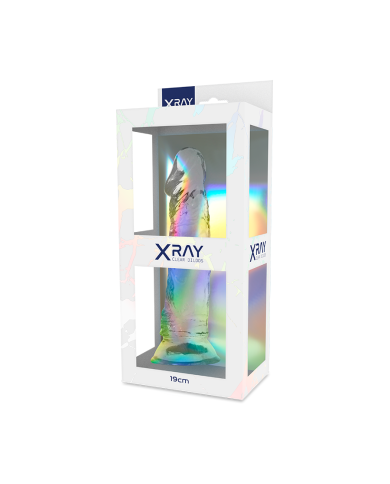 X RAY - BITE CLAIRE 19 CM -O- 4 CM