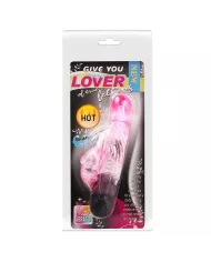 BAILE - VOUS OFFRIR UNE SORTE DE VIBRATEUR AMANT AVEC RABBIT ROSE 10 MODES BAILE - VOUS OFFRIR UNE SORTE DE VIBRATEUR AMANT AVEC RABBIT ROSE 10 MODES