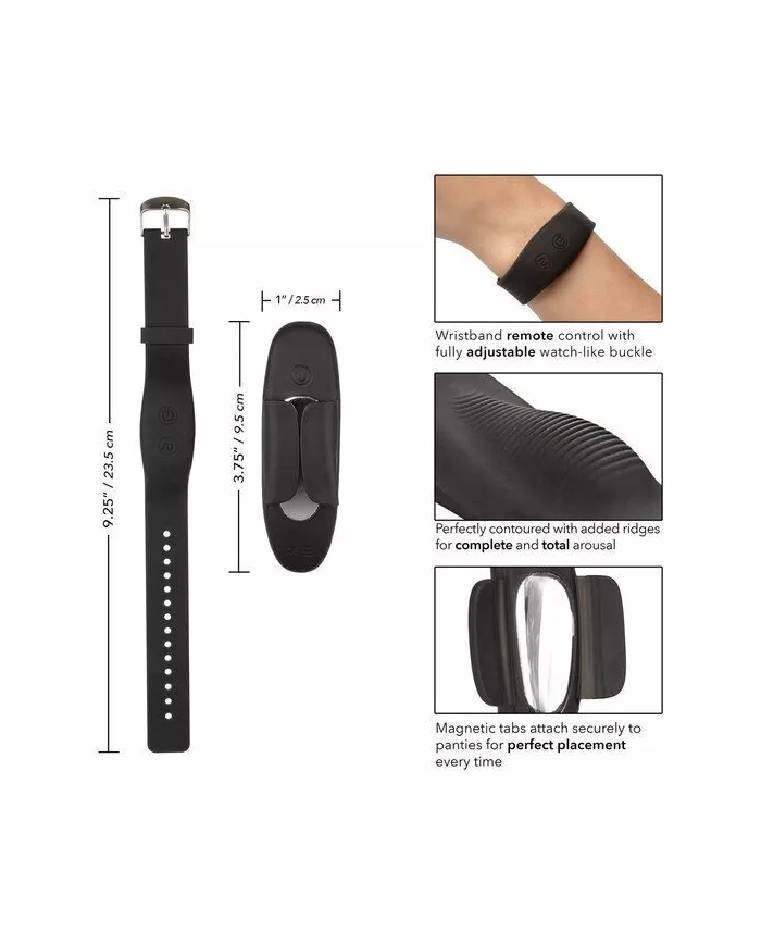 CALEXOTICS - BRACELET DISTANCE CULOTTE TEASER