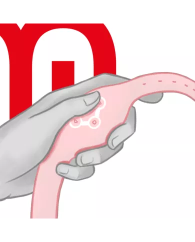 WATCHME - MONTRE À TECHNOLOGIE SANS FIL ROSE TENDRE WATCHME - MONTRE À TECHNOLOGIE SANS FIL ROSE TENDRE