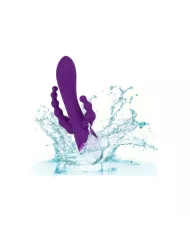 CALEXOTICS - LONG BEACH BOOTYLICIOUS VIOLET CALEXOTICS - LONG BEACH BOOTYLICIOUS VIOLET