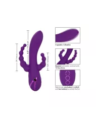 CALEXOTICS - LONG BEACH BOOTYLICIOUS VIOLET CALEXOTICS - LONG BEACH BOOTYLICIOUS VIOLET