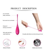 LESLIE - KEGEL FIT ENSEMBLE D'ENTRAÎNEMENT MUSCULAIRE PELVIEN 6 PCS