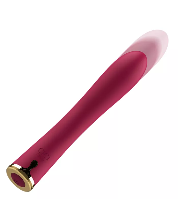 CICI BEAUTY - PREMIUM PUSH BULLET EN SILICONE