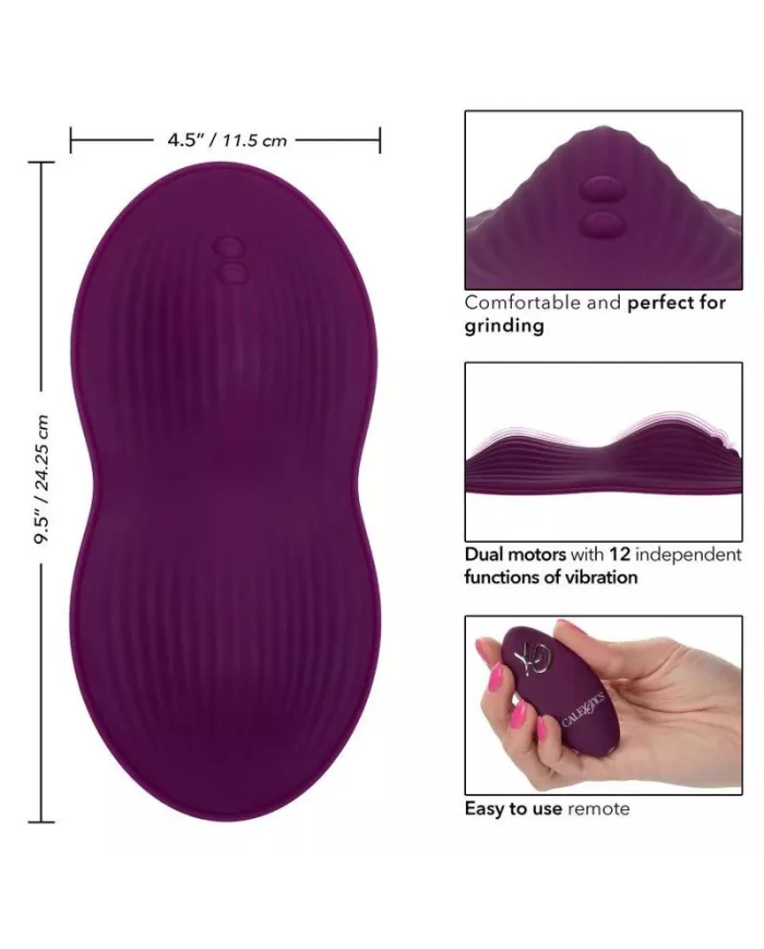 CALEXOTICS - TÉLÉCOMMANDE DUAL RIDER