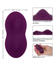 CALEXOTICS - TÉLÉCOMMANDE DUAL RIDER