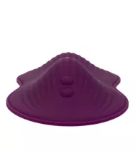 CALEXOTICS - TÉLÉCOMMANDE DUAL RIDER