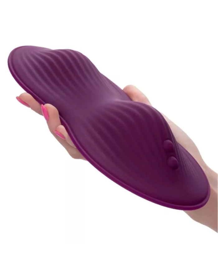 CALEXOTICS - TÉLÉCOMMANDE DUAL RIDER