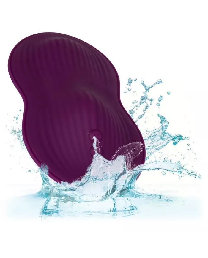 CALEXOTICS - TÉLÉCOMMANDE DUAL RIDER