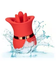 CALEXOTICS - ENSEMBLE FRENCH KISS SUCK & PLAY CALEXOTICS - ENSEMBLE FRENCH KISS SUCK & PLAY