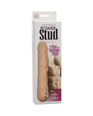 CALEXOTICS - VIBRATEUR POUR LA PEAU POWER STUD ROD