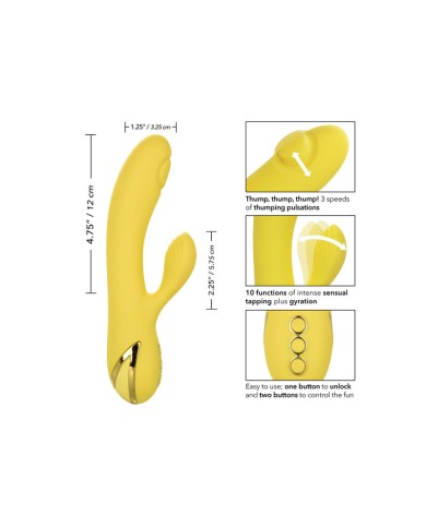 CALEXOTICS - SAN DIEGO SÉDUCTION