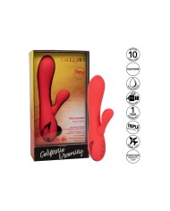 CALEXOTICS - PALISADES PASSION ROUGE