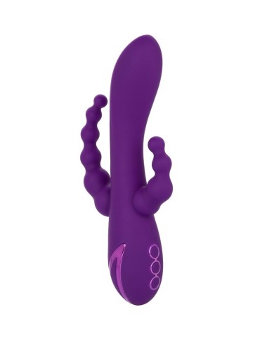 CALEXOTICS - LONG BEACH BOOTYLICIOUS VIOLET