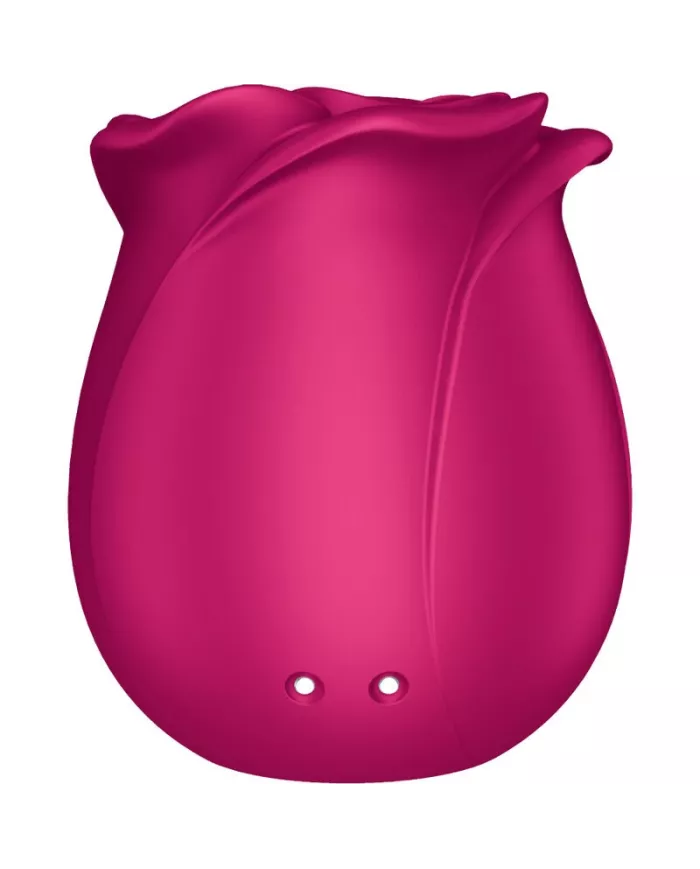 SATISFYER - AIR PULSE VIBRATEUR FLEUR CLASSIQUE PRO 2 SATISFYER - AIR PULSE VIBRATEUR FLEUR CLASSIQUE PRO 2