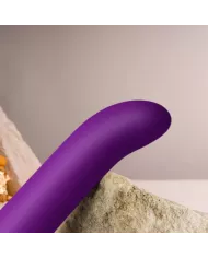 ROCKS-OFF - CHAIAMO G VIBRATEUR POINT G VIOLET