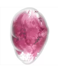 SATISFYER - CLOUD DANCER VIBRATEUR ROUGE AIR PULSE SATISFYER - CLOUD DANCER VIBRATEUR ROUGE AIR PULSE