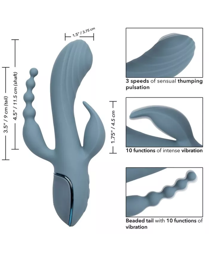 CALEXOTICS - VIBRATEUR TRIPLE ECSTASY GRIS