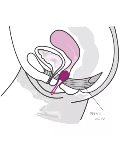 FUN FACTORY - SMARTBALL UNO PELVIC BALL BLANC / VIOLET PASTEL