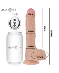 MR INTENSE - BALDWIN RÉALISTE MULTIFONCTIONNEL AVEC VIBRATION, TÉLÉCOMMANDE HAUT/BAS, 22 CM - OU - 4 CM