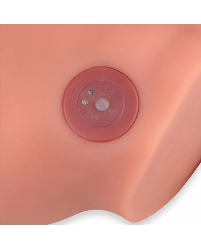 XISE - FREDERICO MASTURBATEUR GODE RÉALISTE POSITION FRONTALE AVEC POUSSÉE 15 CM