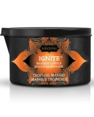KAMASUTRA - BOUGIE DE MASSAGE MANCHE TROPICAL 170 GR