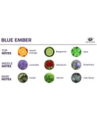 EYE OF LOVE - BLOOM PRINTEMPS DAMBIANCE INDICA BLEU BRISE 150 ML