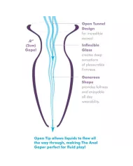 ANAL FANTASY ELITE COLLECTION - DILATATEUR ANAL GAPER POUR DÉBUTANTS CRISTAL TAILLE S ANAL FANTASY ELITE COLLECTION - DILATATEUR ANAL GAPER POUR DÉBUTANTS CRISTAL TAILLE S