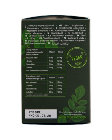 HOT - MORINGA BOÎTES POUR HOMMES 60 UNITÉS
