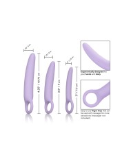 CALEXOTICS - DR LAURA BERMAN ALENA ENSEMBLE DE 3 DILATEURS EN SILICONE