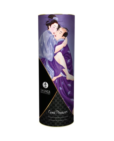 SHUNGA - KIT DE COLLECTION Plaisirs Charnels