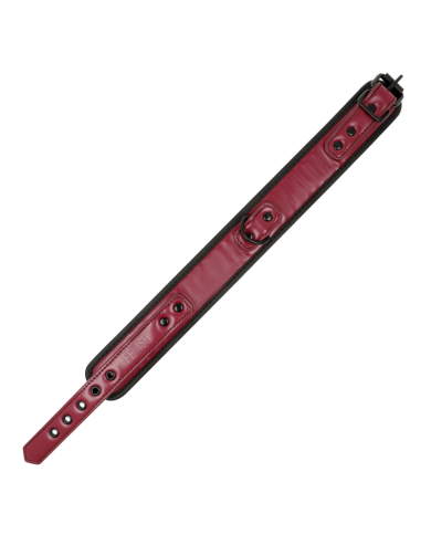 FETISH SUBMISSIVE DARK ROOM - COLLIER CHAÎNE DOUBLURE EN NÉOPRÈNE