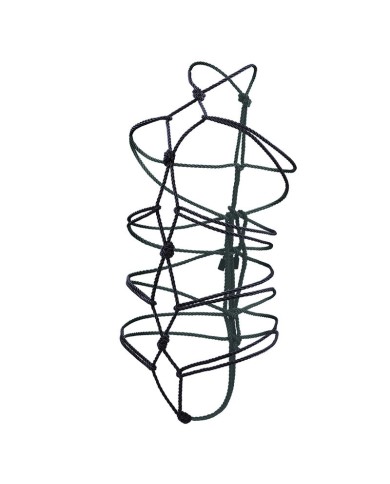 CALEXOTICS - BOUNDLESS CORDE 10M NOIRE